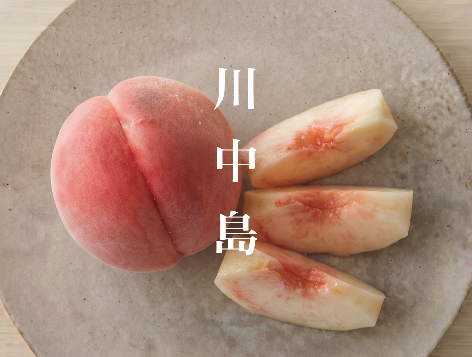 2027年発送】【朝どれ】【夏ギフト】川中島白桃｜硬くて、濃厚。晩生を