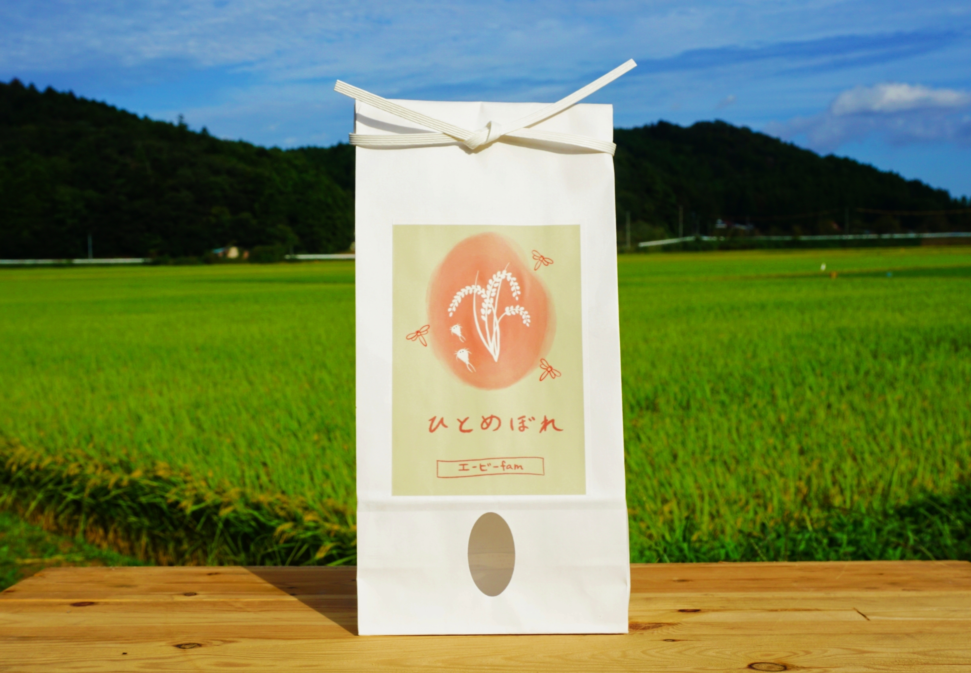 玄米 20kg 令和6年度 宮城県産ひとめぼれ ⭐️おいしいお米『環境保全米』