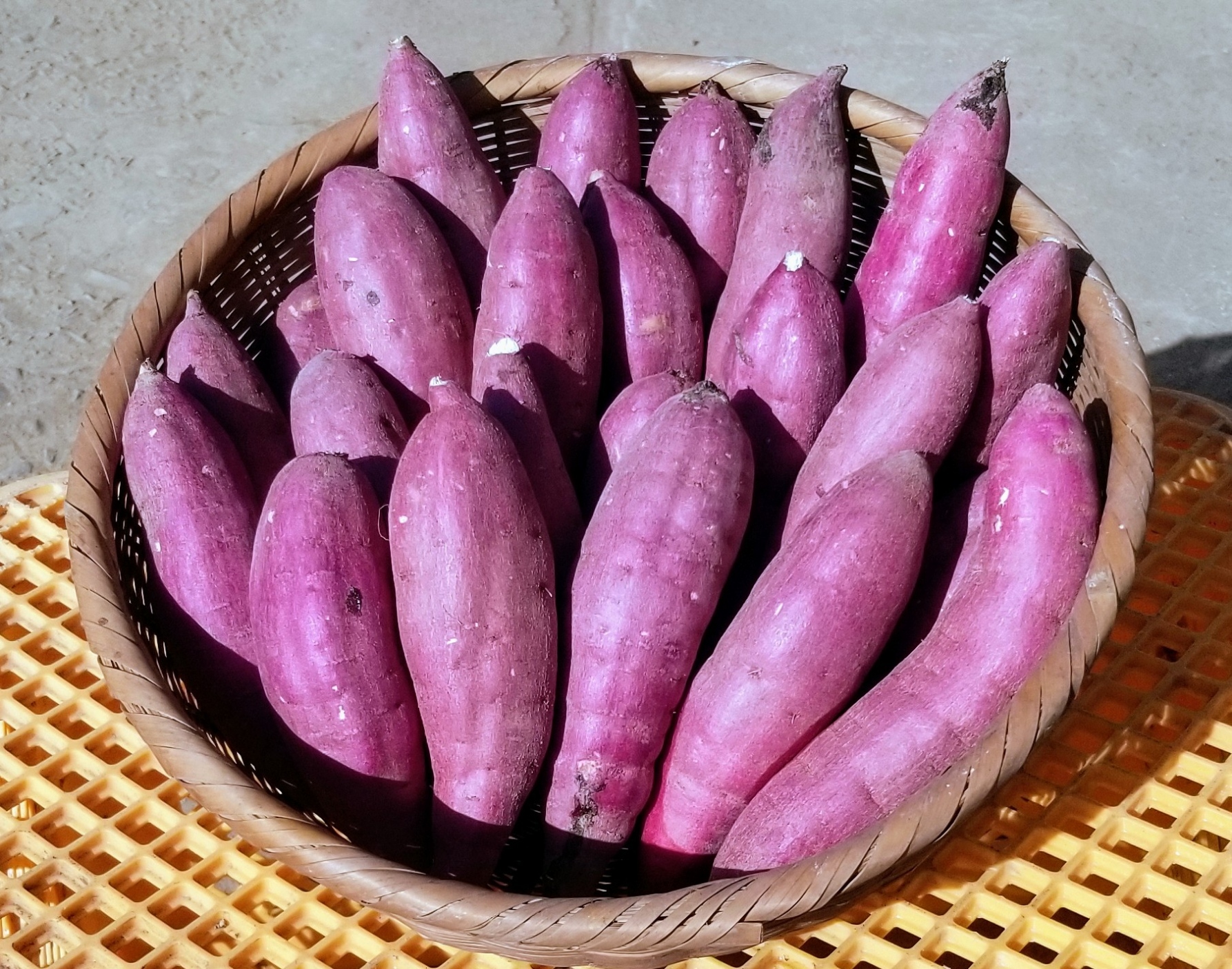 はるか　秀品　箱の重さ抜きで10kg 大分県産 はるか 秀品 箱の重さ抜きで10kg 大分県産 - 果物新 発売