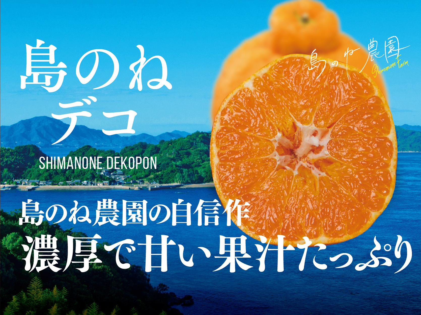島のね デコ【愛媛みかん/木成り完熟/サイズ混合/3.5kg】：愛媛県の