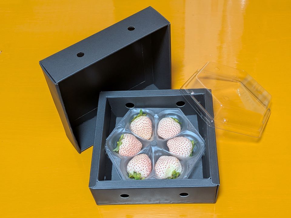 ＜贈答用＞ 白いちご（6粒入×4パック） ★クール便送料込★ 贈答用＞ 白いちご（6粒入×4パック） ☆クール便☆：長野県のレビュー