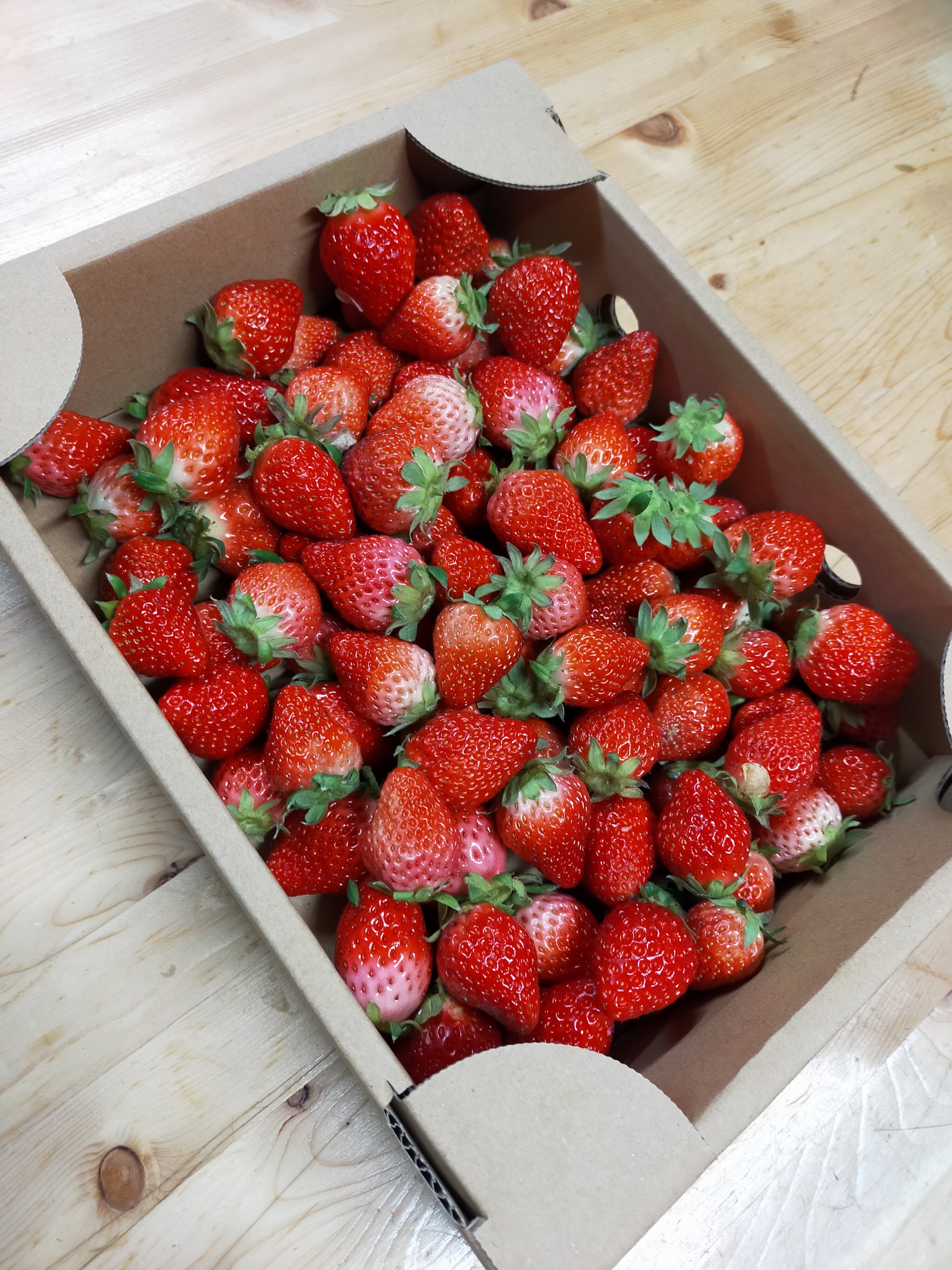 ジャム用有機いちご1kg （有機JAS認定 熊本産 恋みのり/紅ほっぺ