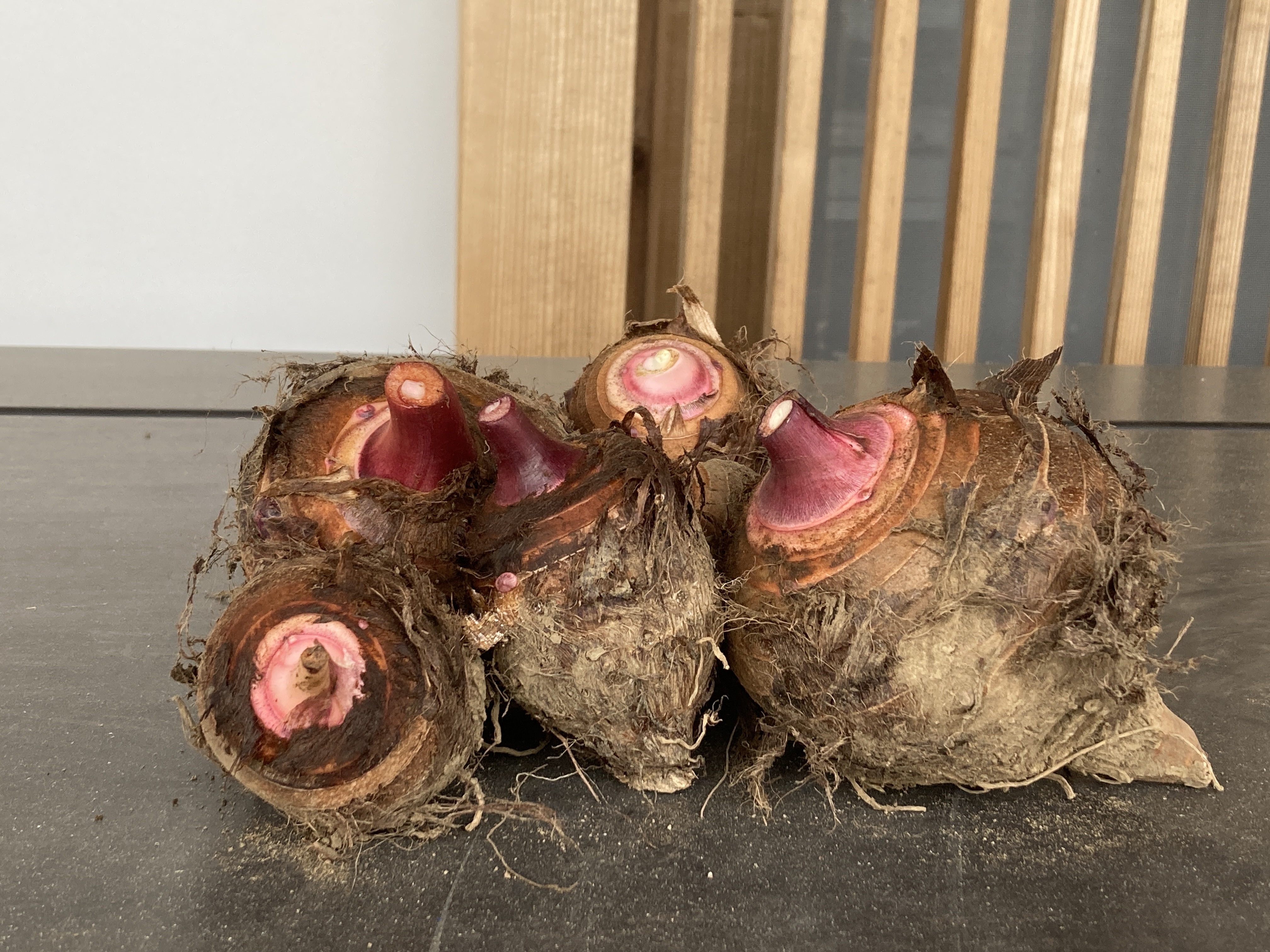 農薬・化学肥料不使用 里芋（赤芽）3kg：大分県のレビュー｜食べ
