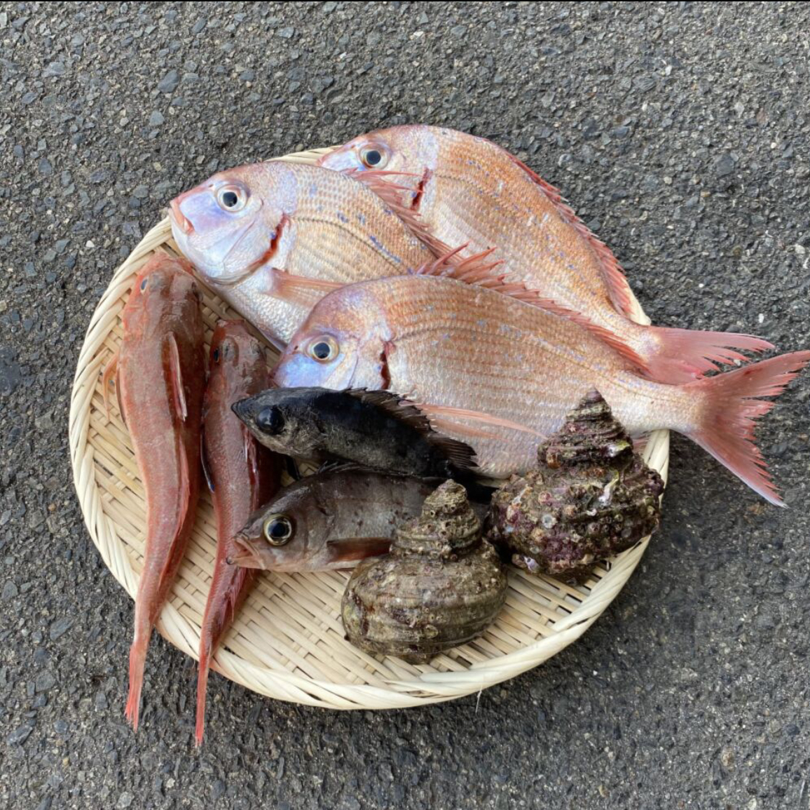 数量限定 瀬戸内の鮮魚 2kg詰め合わせ 80サイズ 広島県のレビュー一覧 食べチョク 農家 漁師の産直ネット通販 旬の食材を生産者直送