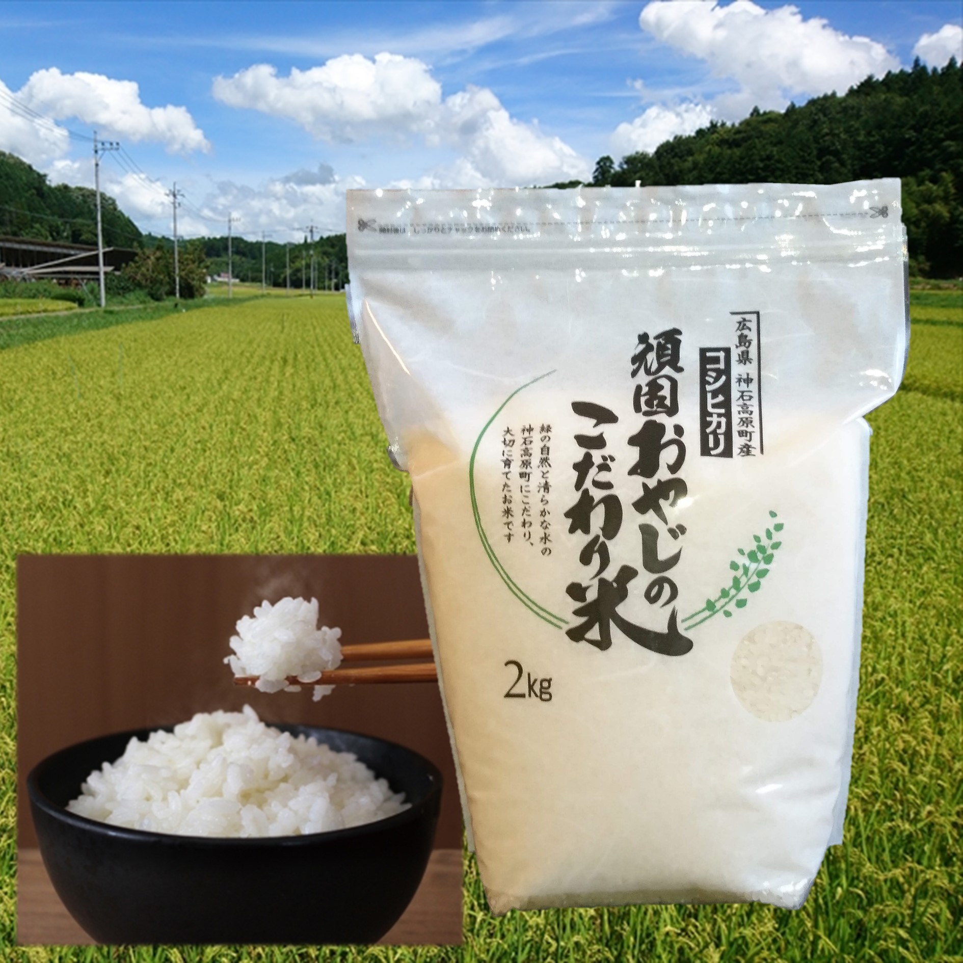 よいこ様　精米コシヒカリ コシヒカリ精米12kg(2kg×6) 令和7年 神石高原町産 粘りと甘さの