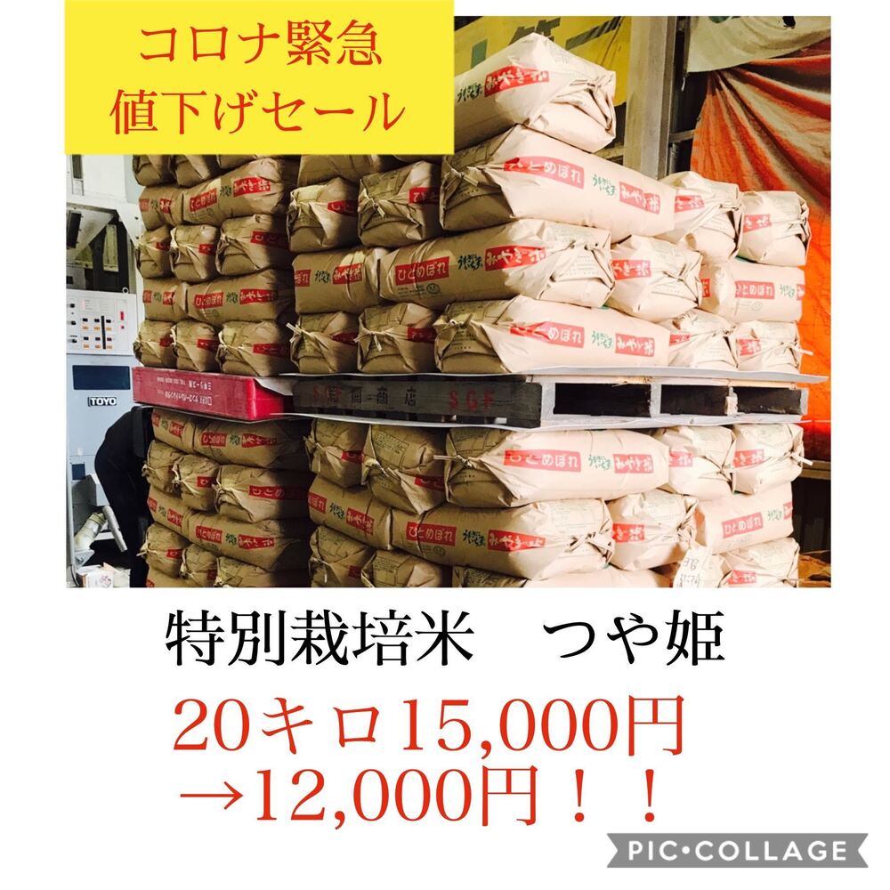 コロナ応援キャンペーン 光り輝く大粒米 宮城県産特別栽培米つや姫キロ 宮城県産 食べチョク 農家 漁師の産直ネット通販 旬の食材を生産者直送