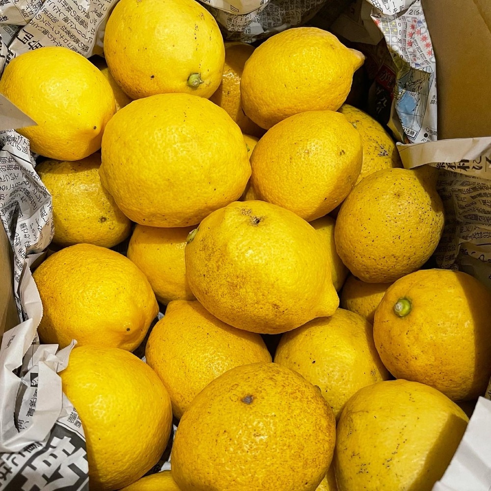 Remon Labへのご馳走様でした 食べチョク