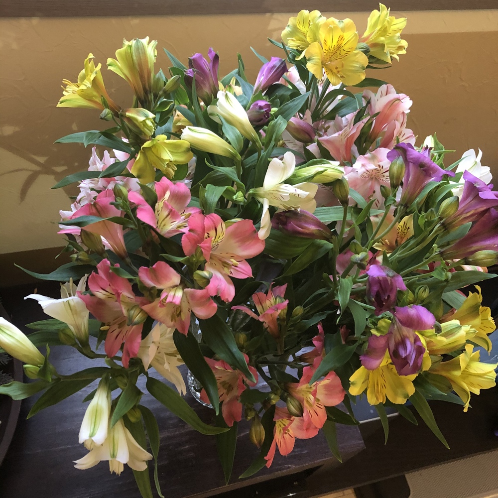 深津 みどりさんが古畑農園さんの１本にたくさんの花が咲く アルストロメリアの花束 15本程度 が 届いたよ を投稿しました 食べチョク