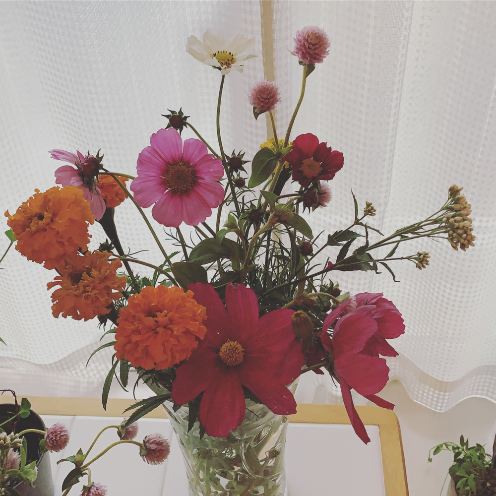 村上 ゆかりさんがサンファーム高橋さんの季節を感じる 旬のオーガニックフラワーが 届いたよ を投稿しました 食べチョク