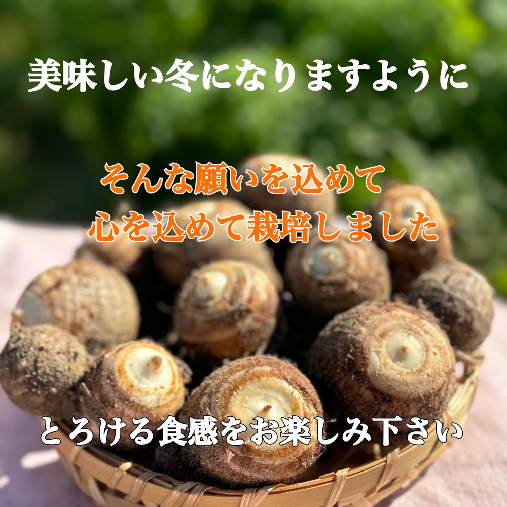 えこまる農園様、専用出品 古代米 紅こまち 黒米 150g 雑穀 雑穀米 富山県産 : 水菜土農園