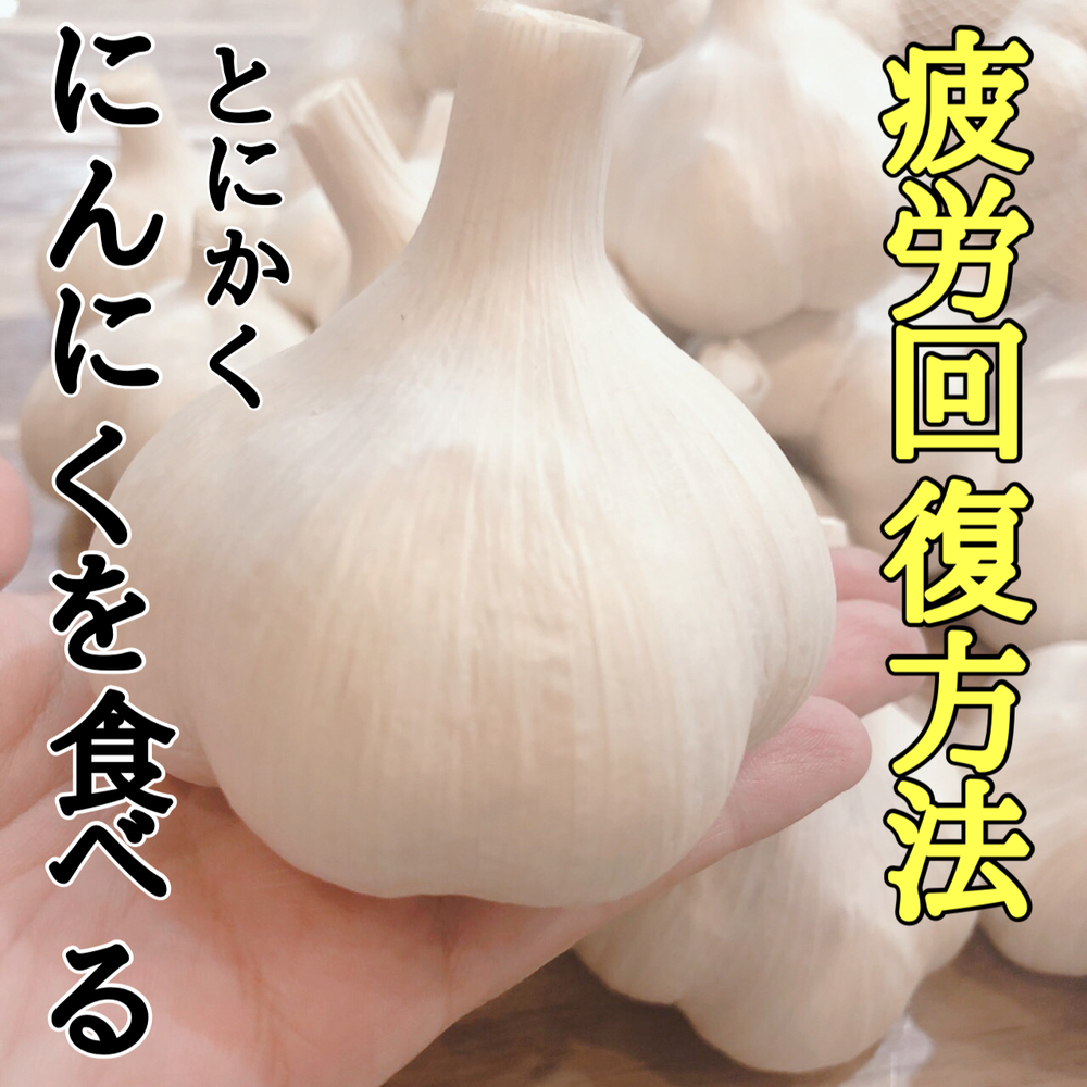 今朝のZIPで青森巨大にんにくが紹介されました‼️㊗️｜食べチョク｜産地直送(産直)お取り寄せ通販 - 農家・漁師から旬の食材を直送