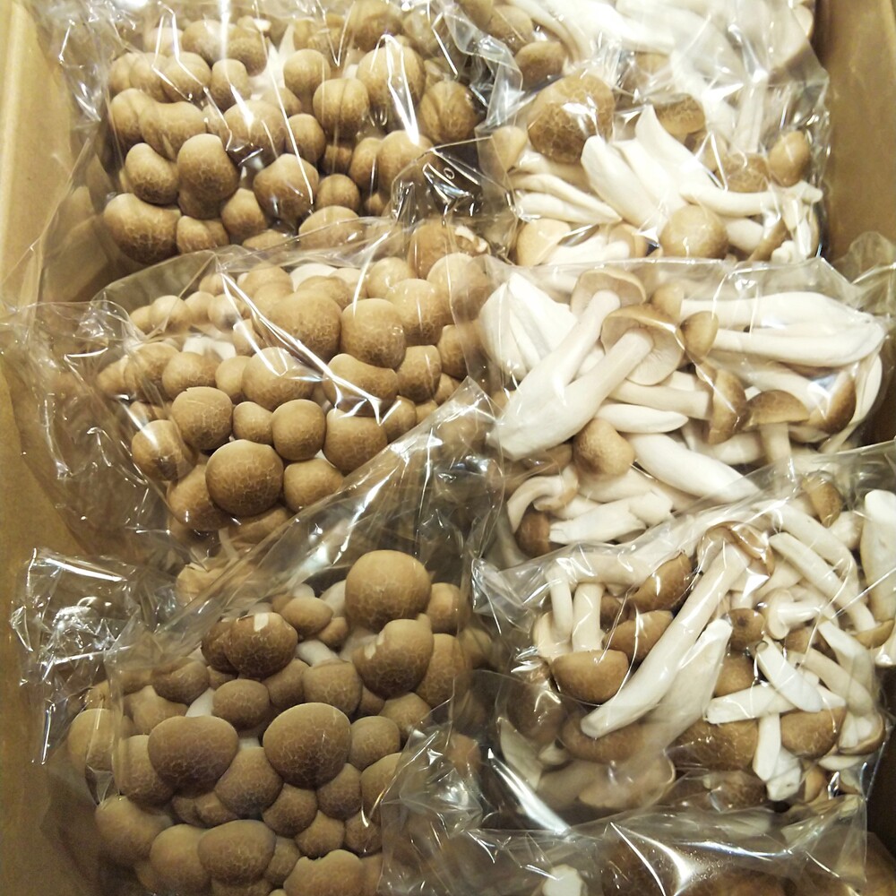 Fukuさんが宮入きのこ園さんの朝採り ぶなしめじバラエティーパック が 届いたよ を投稿しました 食べチョク Fukuさんが宮入きのこ園さんの朝採り ぶなしめじバラエティーパック が 届いたよ を投稿しました 食べチョク