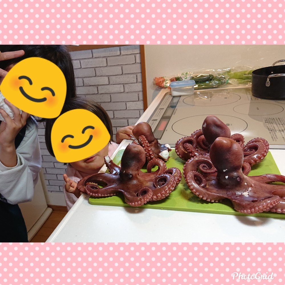 くみぽさんが漁師からの直行便 七福丸さんの シェアにもってこい 下津井産 生タコ 小タコ セット3ｋｇ 3 4人前 が 届いたよ を投稿しました 食べチョク