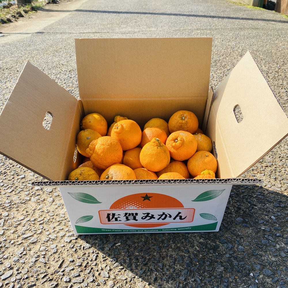 超特価 不知火ミカン デコポン 10kg個 30個 多少傷あり 佐賀県産 ハウス栽培 佐賀県産 食べチョク 農家 漁師の産直ネット通販 旬の食材を生産者直送 超特価 不知火ミカン デコポン 10kg個 30個 多少傷あり 佐賀県産 ハウス栽培 佐賀県産 食べチョク 農家 漁師の産直ネット通販 旬の食材を生産者直送