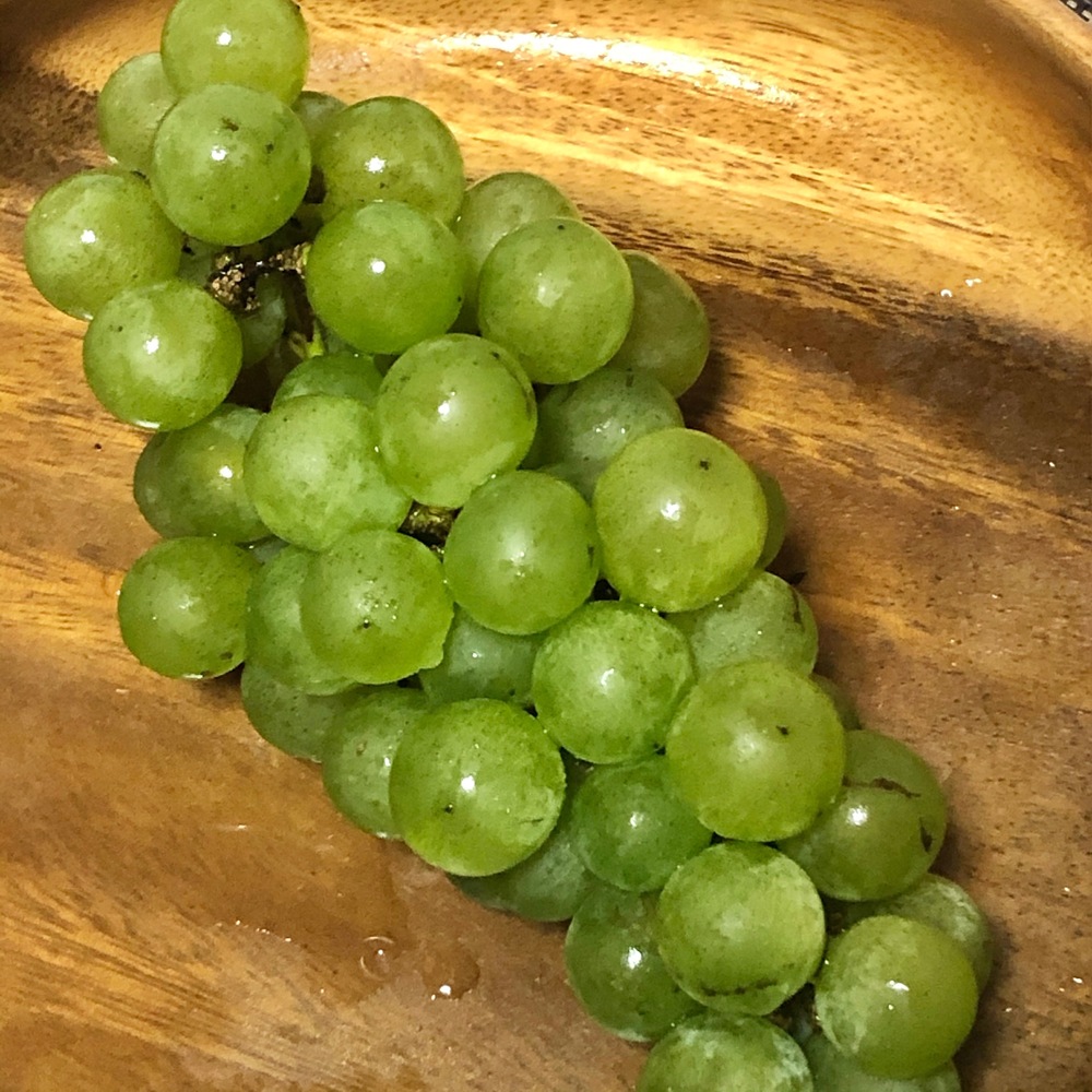 サニーサイドファームの紹介 北海道 食べチョク 農家 漁師の産直ネット通販 旬の食材を生産者直送