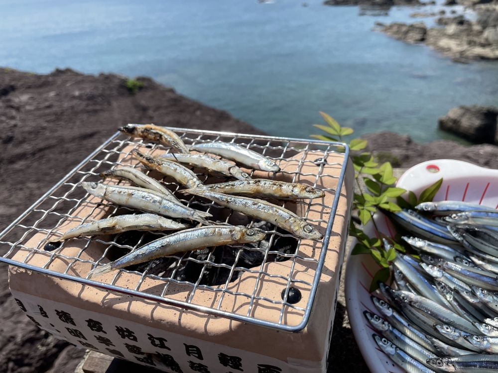 耀く銀鱗 きびなご キャンプにいかが きびなご 0g冷凍パック詰め 1キロ 漁師直伝オリジナルレシピ付き 鹿児島県産 食べチョク 農家 漁師の産直ネット通販 旬の食材を生産者直送