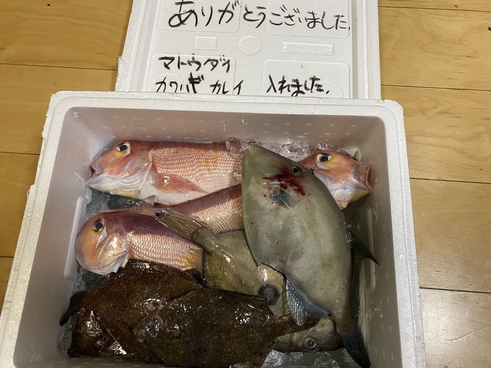 ハルネキョウさんが徳栄丸さんの漁師直送 秋田沖で荒波にもまれた天然甘鯛 1kg が 届いたよ を投稿しました 食べチョク