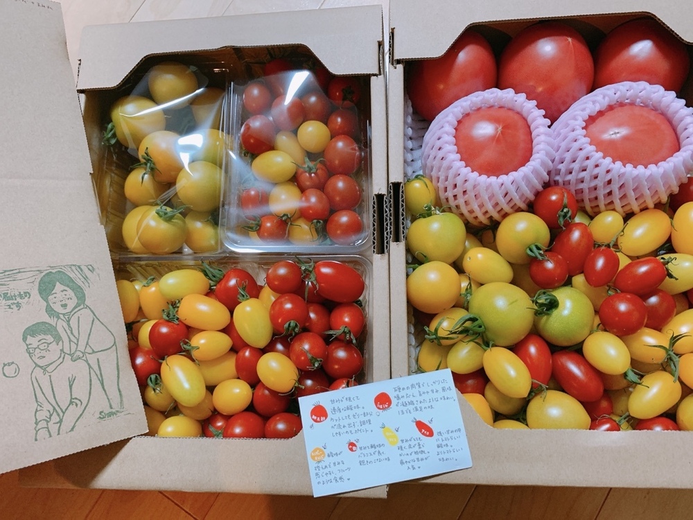 Chhrさんがハウスプラント 高橋農場さんの 100 純トマト 雪ちゃんトマト シンディーオレンジとミニトマト のセット2キロ箱詰めが 届いたよ を投稿しました 食べチョク