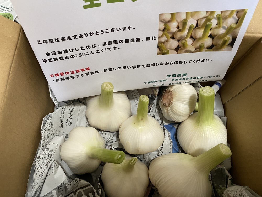 Yukoさんが大原農園さんの 期間限定 農薬化学肥料不使用 新物 掘りたて 生にんにく 500g が 届いたよ を投稿しました 食べチョク