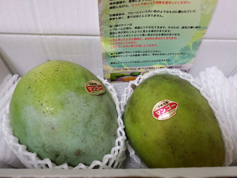 マンゴー農園 サンライズファーム の紹介 沖縄県 食べチョク 農家 漁師の産直ネット通販 旬の食材を生産者直送 マンゴー農園 サンライズファーム の紹介 沖縄県 食べチョク 農家 漁師の産直ネット通販 旬の食材を生産者直送
