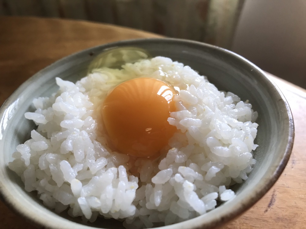 初回限定box しあわせ卵かけご飯 大小 凸凹セット30個 土佐ジローと平飼い卵 高知県産 食べチョク 農家 漁師の産直ネット通販 旬の食材を生産者直送