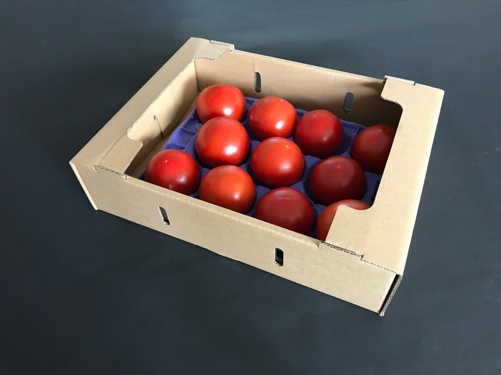 化学肥料 農薬完全不使用 高糖度トマト 1 6kg 安心安全 青森産 蓬田 青森県産 食べチョク 農家 漁師の産直ネット通販 旬の食材を生産者直送