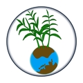 SORANOSITA
