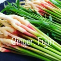 Ginger. Fujin