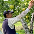田村りんご農園