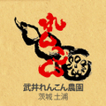 武井れんこん農園