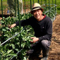 種をつないで美味しくなる野菜 kainami