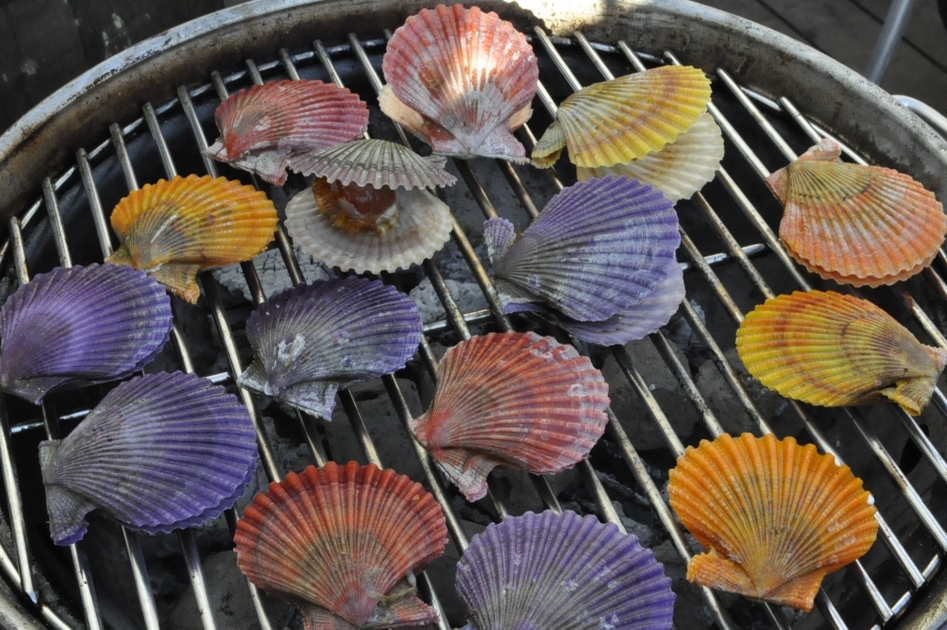海の宝石】貝類・ウニを味わおう！知られざる特徴とおすすめの