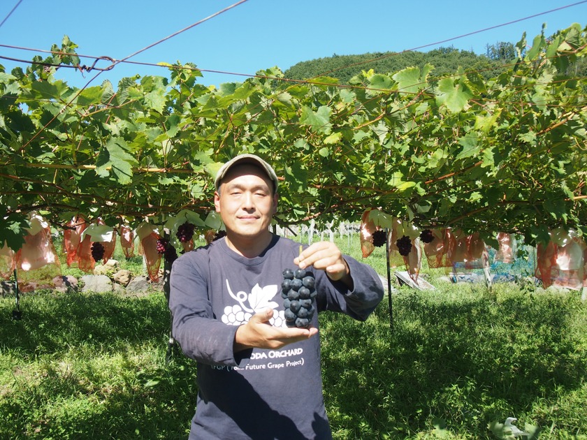 東御こもだ果樹園 菰田さん