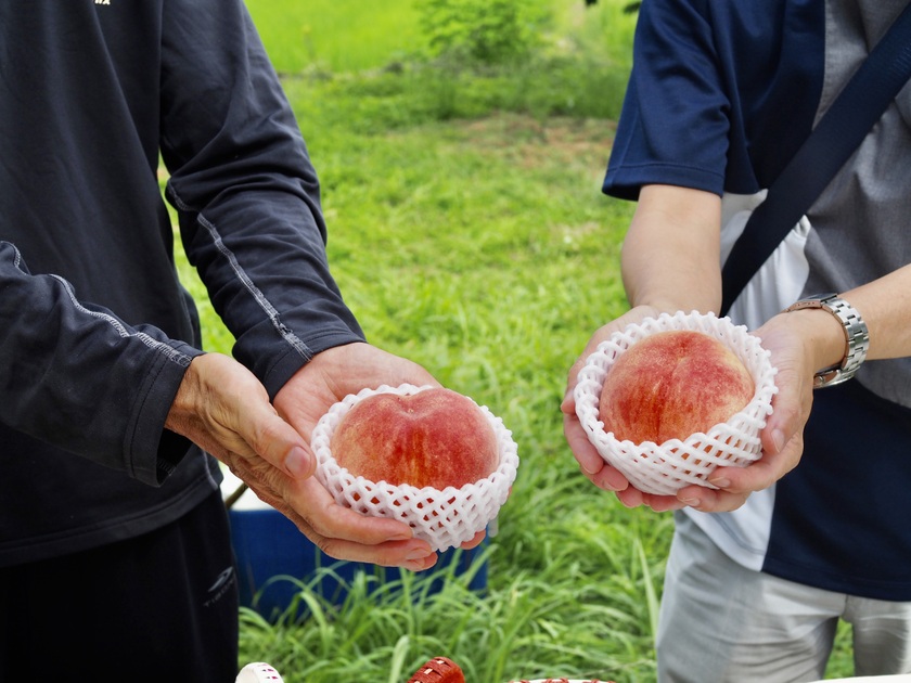 📷収穫体験中の写真