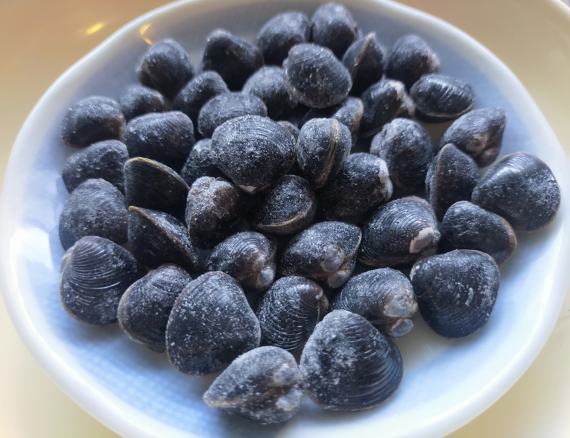 冷凍したしじみ