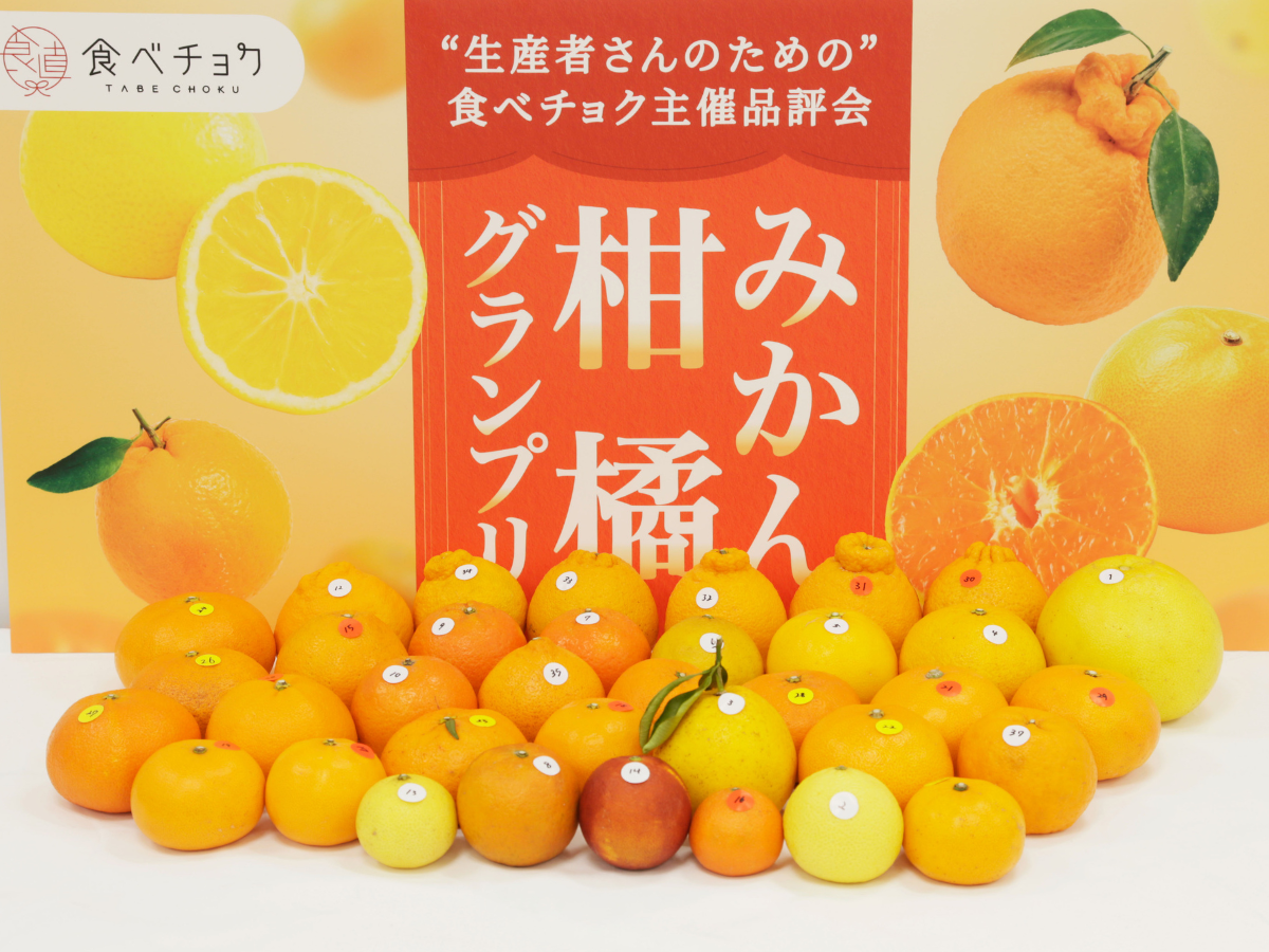 食味のプロが選ぶ！「みかん・柑橘グランプリ2026」最高金賞を発表