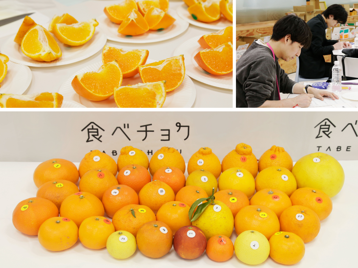 食味のプロが選ぶ！「みかん・柑橘グランプリ2026」最高金賞を発表