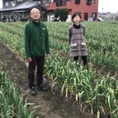 M'S農業