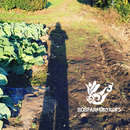 808FARMあさねぼう