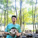 環の森(わのもり)