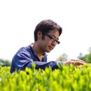 お茶の平岡園