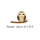 Forest farm ふくろう