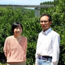fao agrocommunication