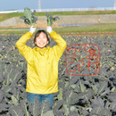 島村バンドワゴン