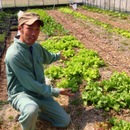 Ryo-2 Farm