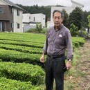 岩瀬製茶店