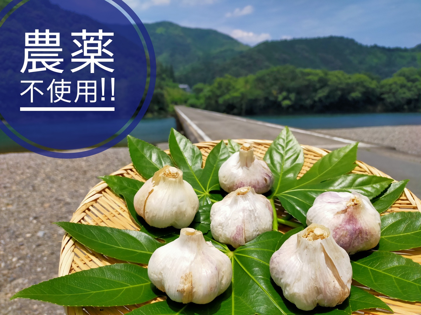 0034863be61bd7739fed75f1c1ea14