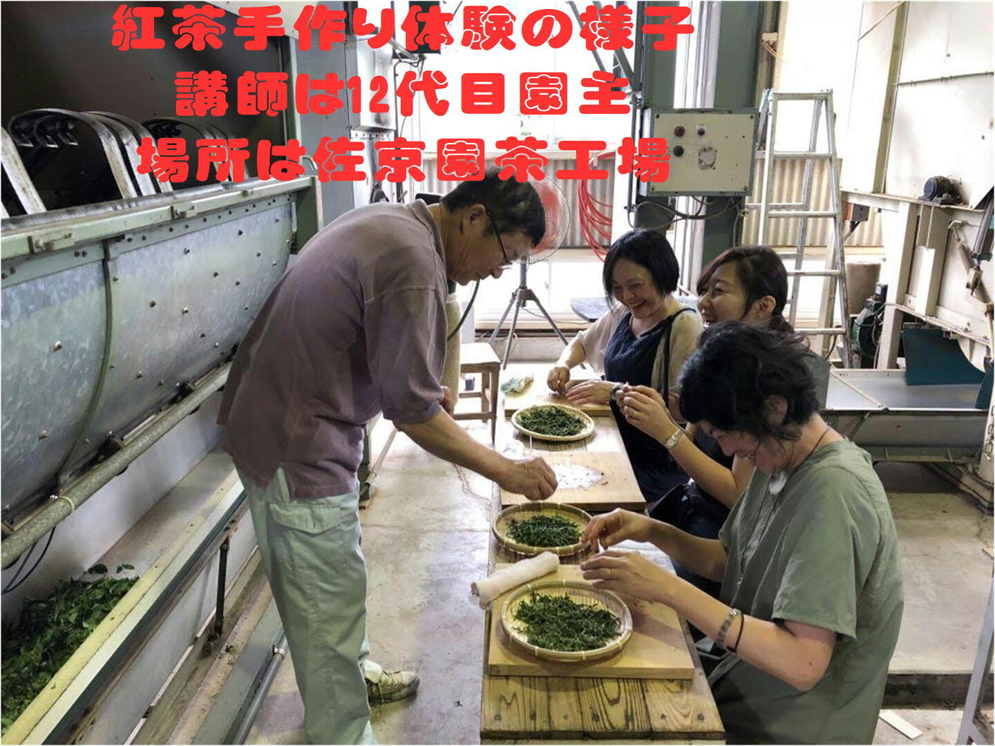 上煎茶 - 煎茶、ぐり茶など日本茶、緑茶のお取り寄せ、通販なら