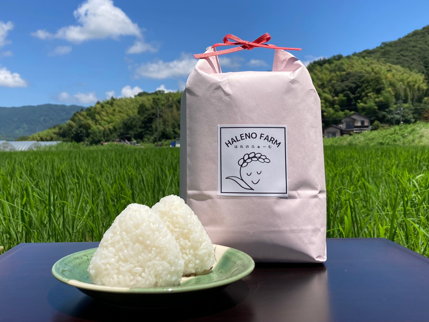 グリン子様　6月　精米10キロ c83db501869e37fac32672297a5f3e