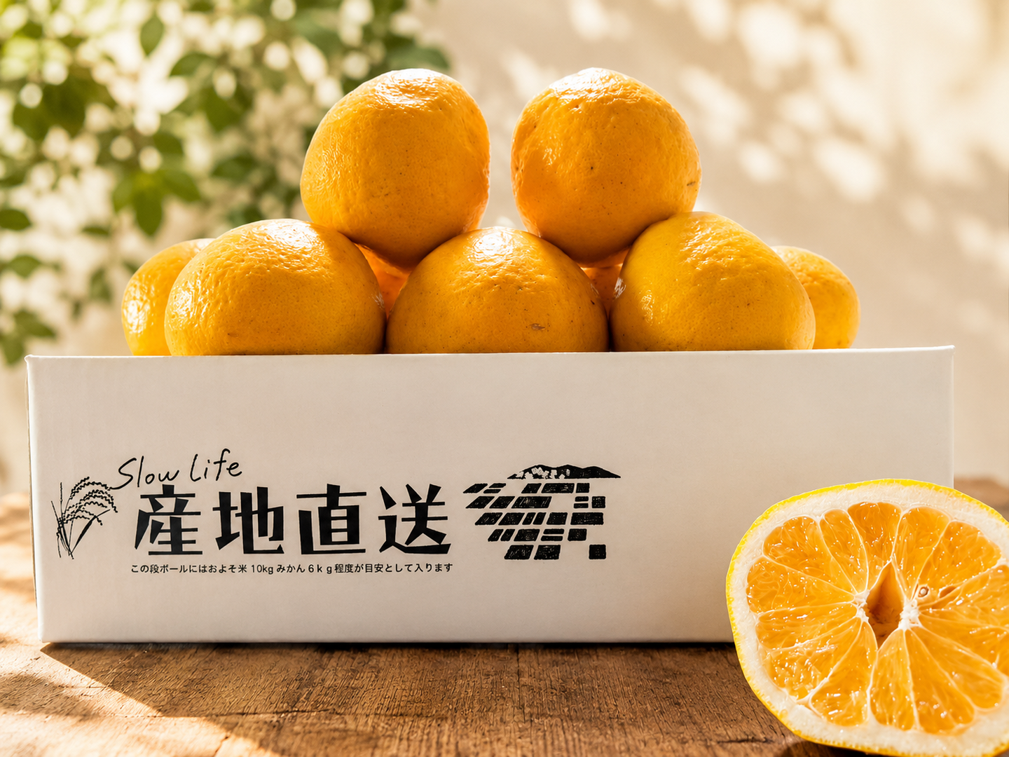 7月限定】暑い夏に！果汁たっぷり河内晩柑 5kg（和製グレープフルーツ